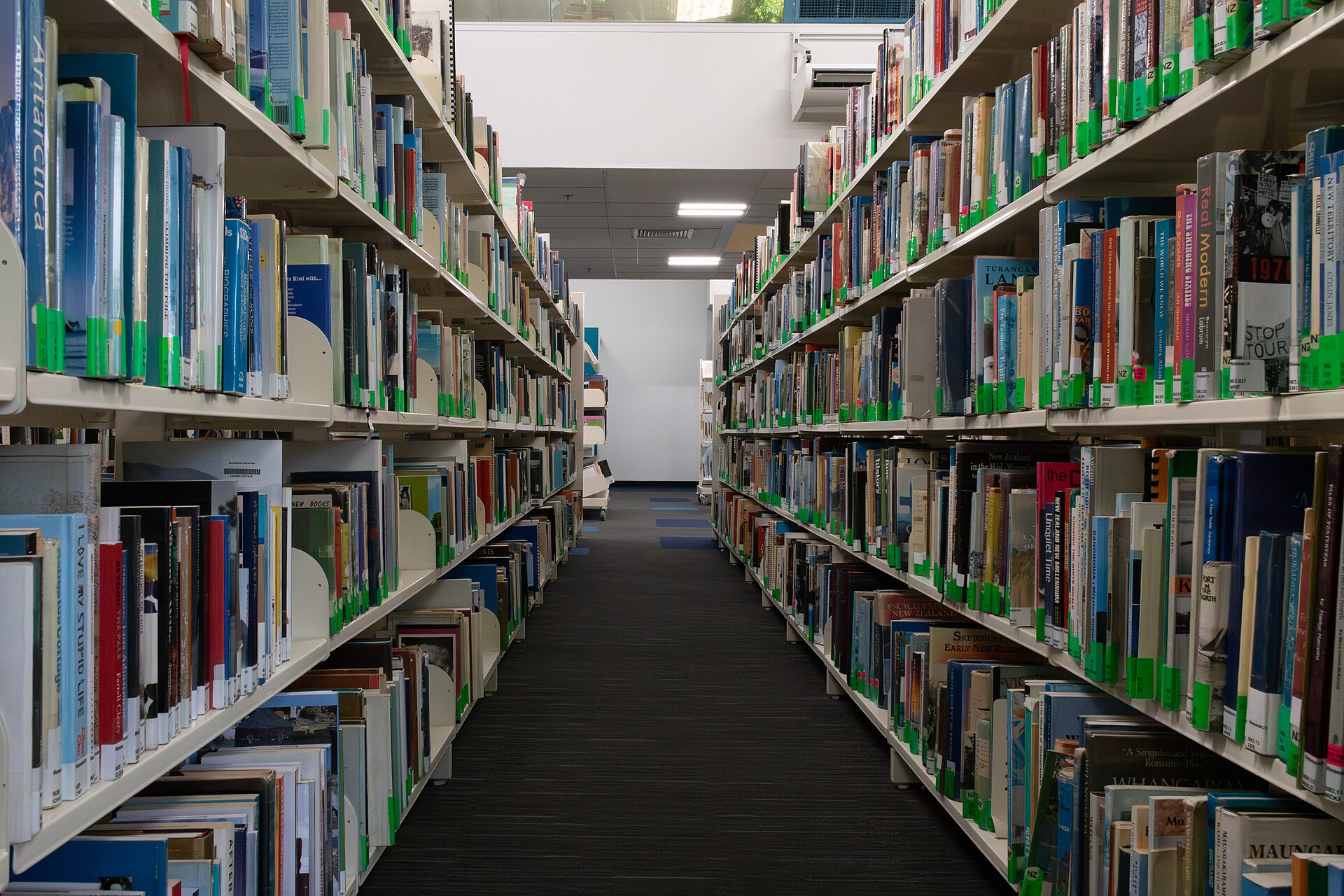 Institutional city architecture